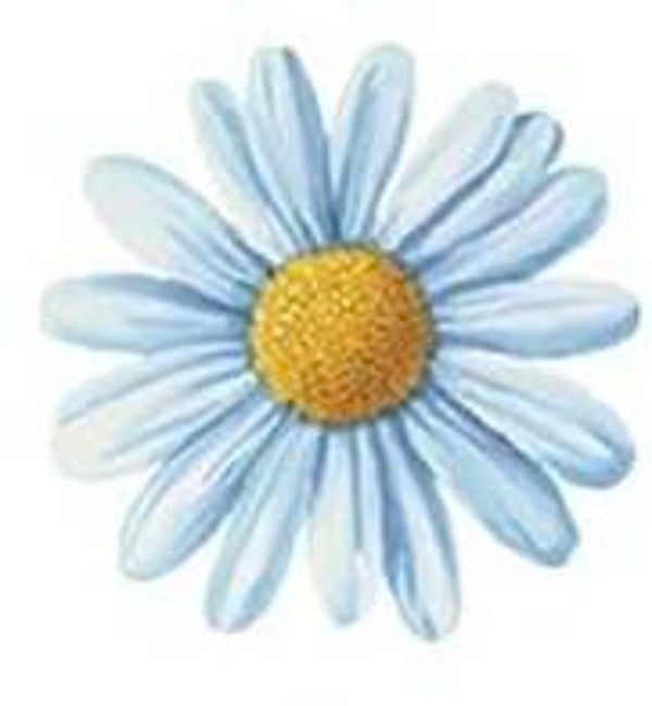 Blue Flower