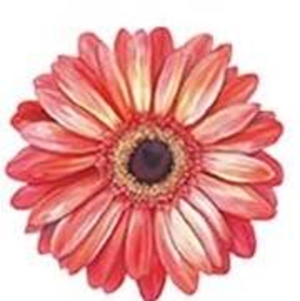 Red Flower