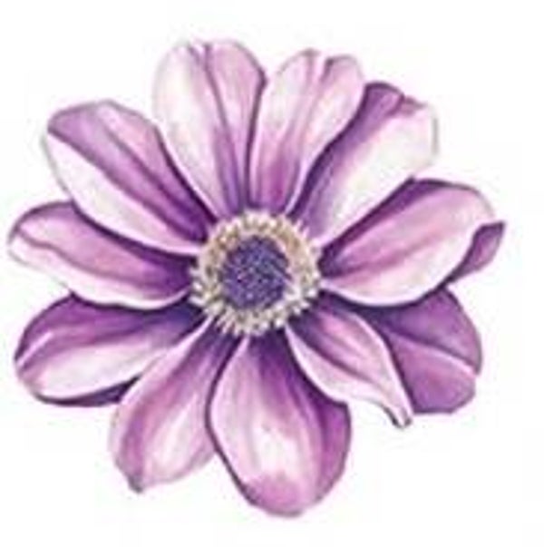 Purple Flower