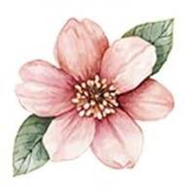 Light Pink