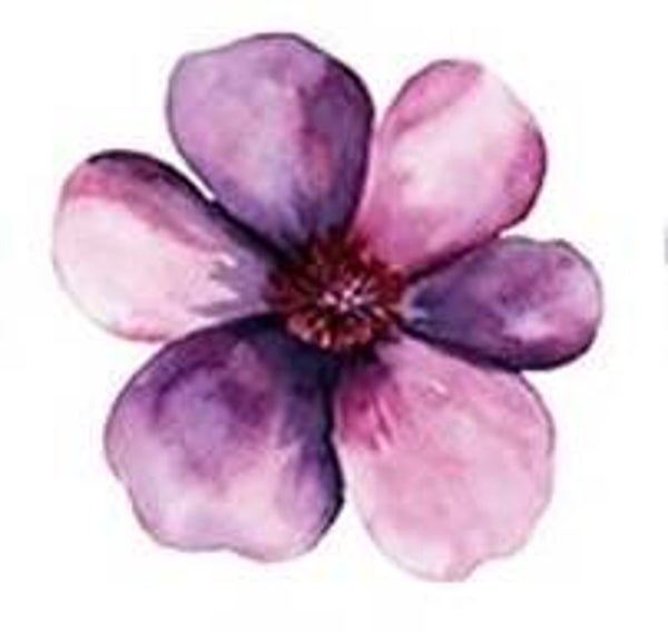 Purple/Pink Flower