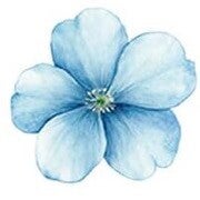 Blue Flower