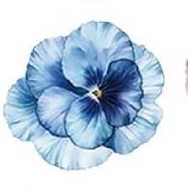 Blue Flower