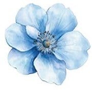 Blue Flower