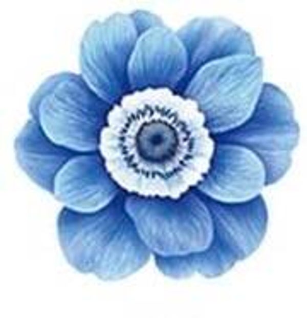 Blue Flower