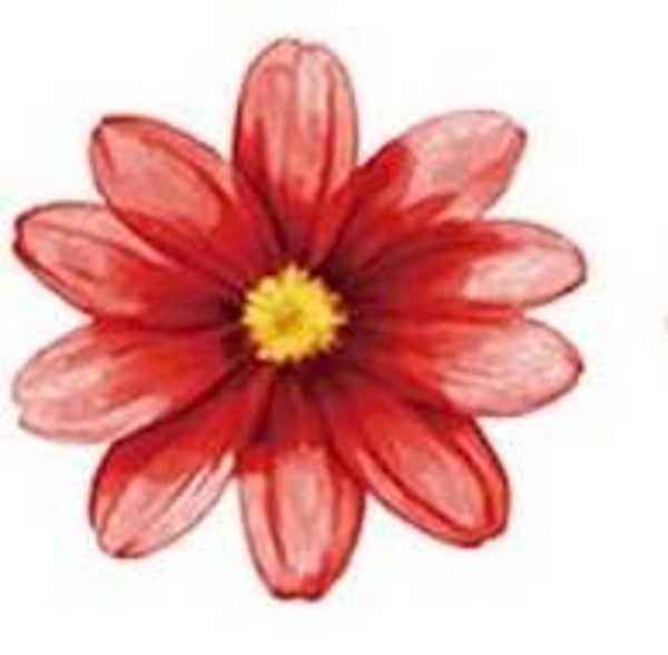 Red Flower