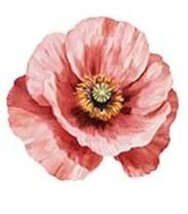 Light Red Flower
