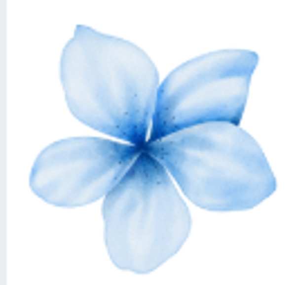 Light Blue Flower