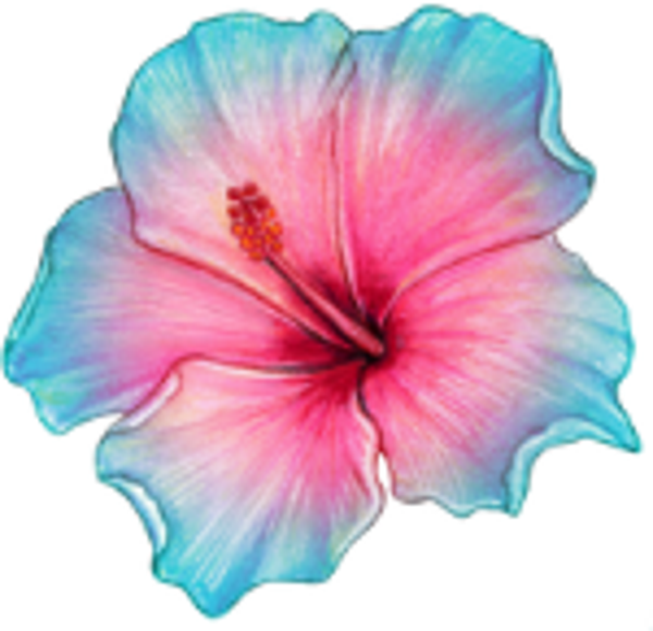Teal and Pink Flower