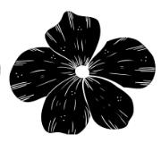 Black Flower
