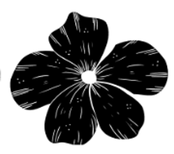 Black Flower