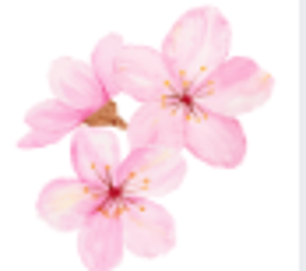 Pink Flowers