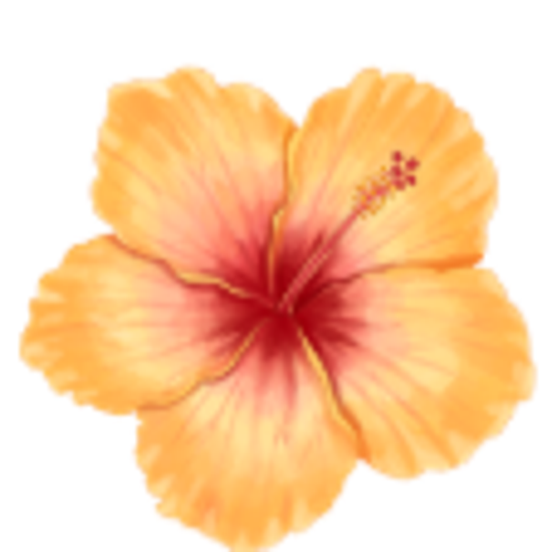 Orange and Red Flower