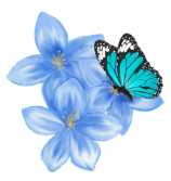 Blue flowers with butterfly