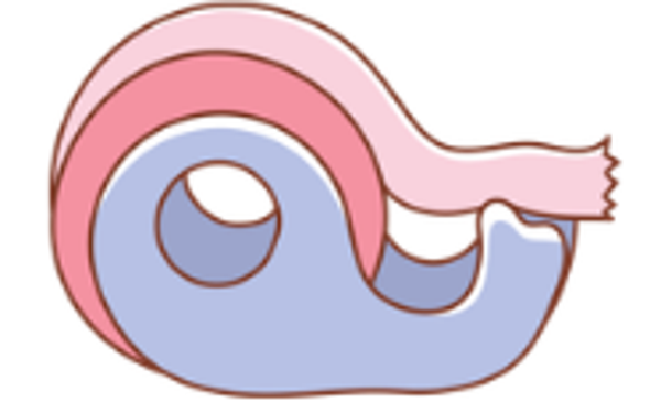 Tape