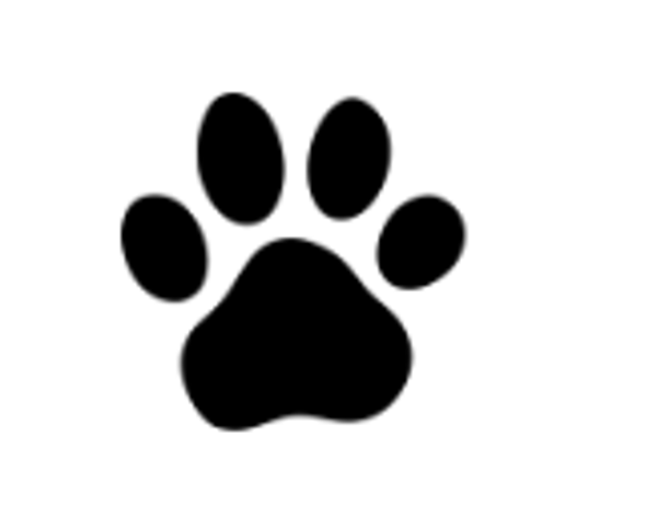 Paw Print