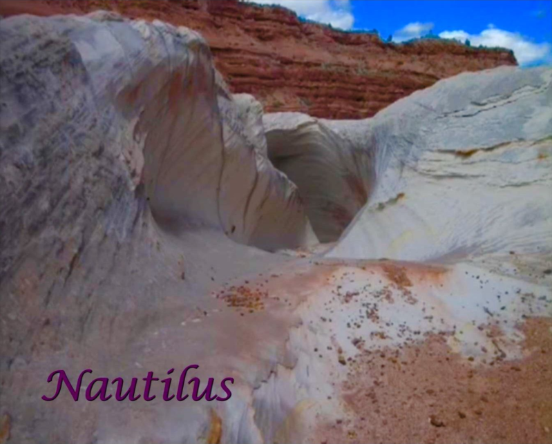 Nautilus, eenmalig verschijnsel