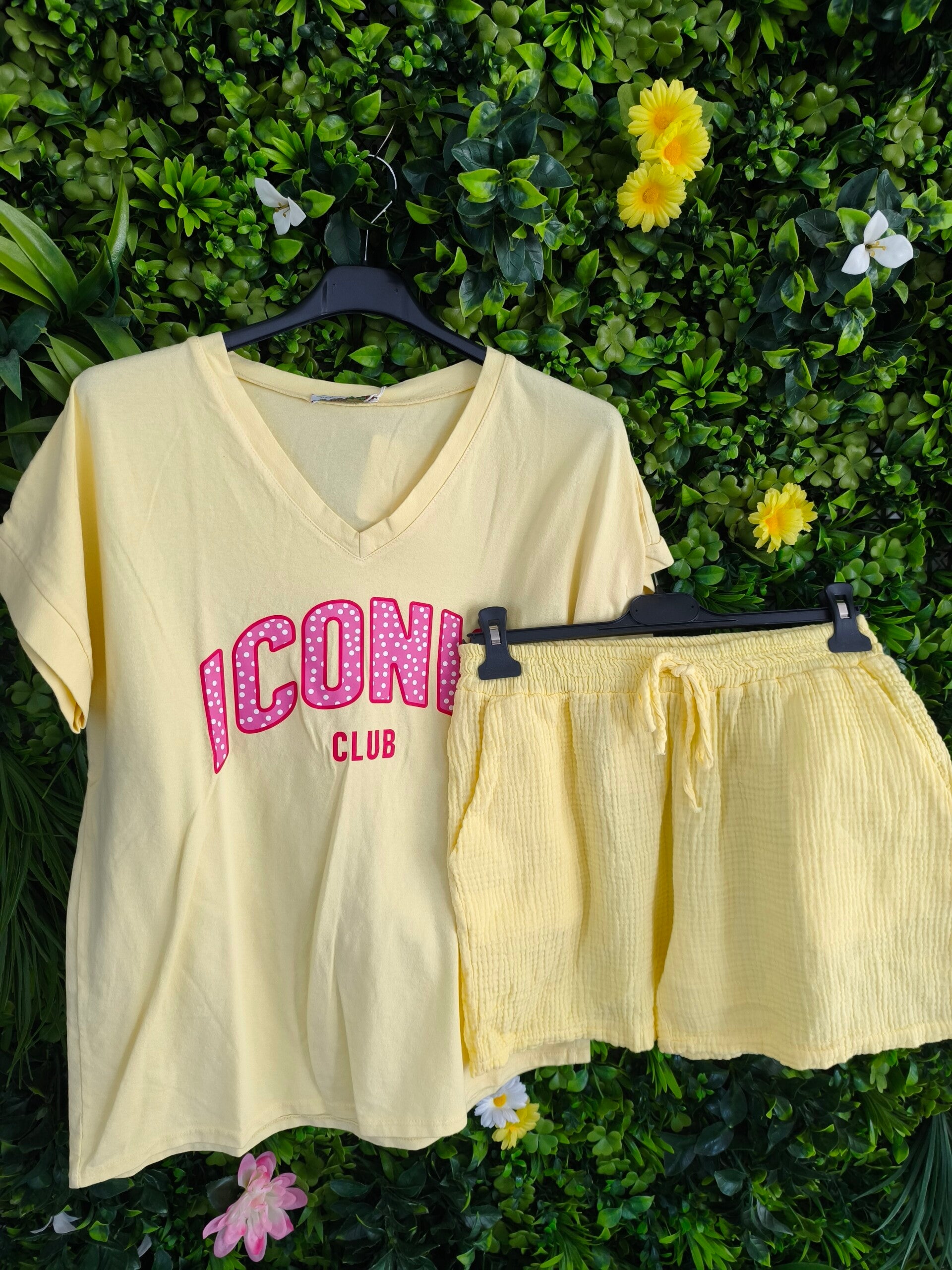 Ensemble iconic