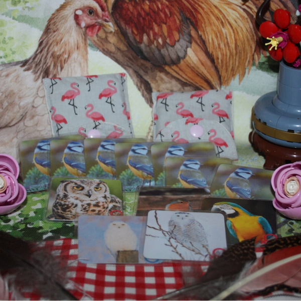 Jeu de memory "les couples d'oiseaux"