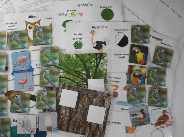 Supports pédagogiques : Les animaux de la forêt 6-10 ans