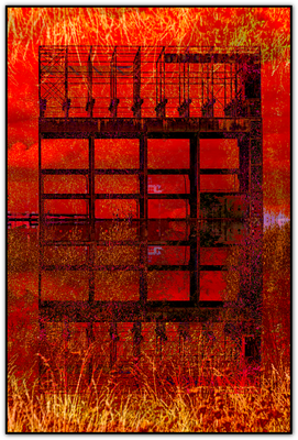 web_0172-red-standard-io989r.png