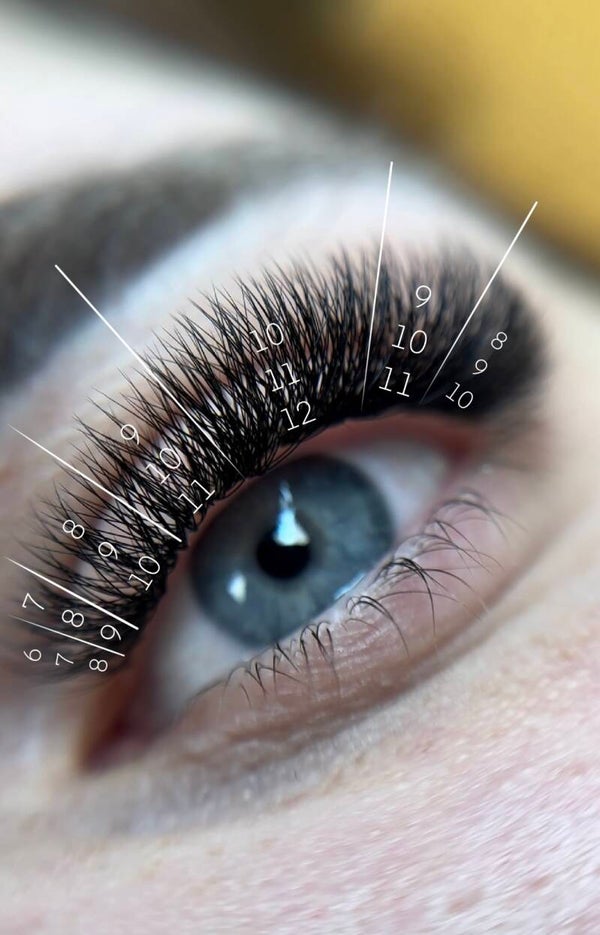3 in 1 Workbook - Augenanalyse, Lash Sets, Lash Mapping