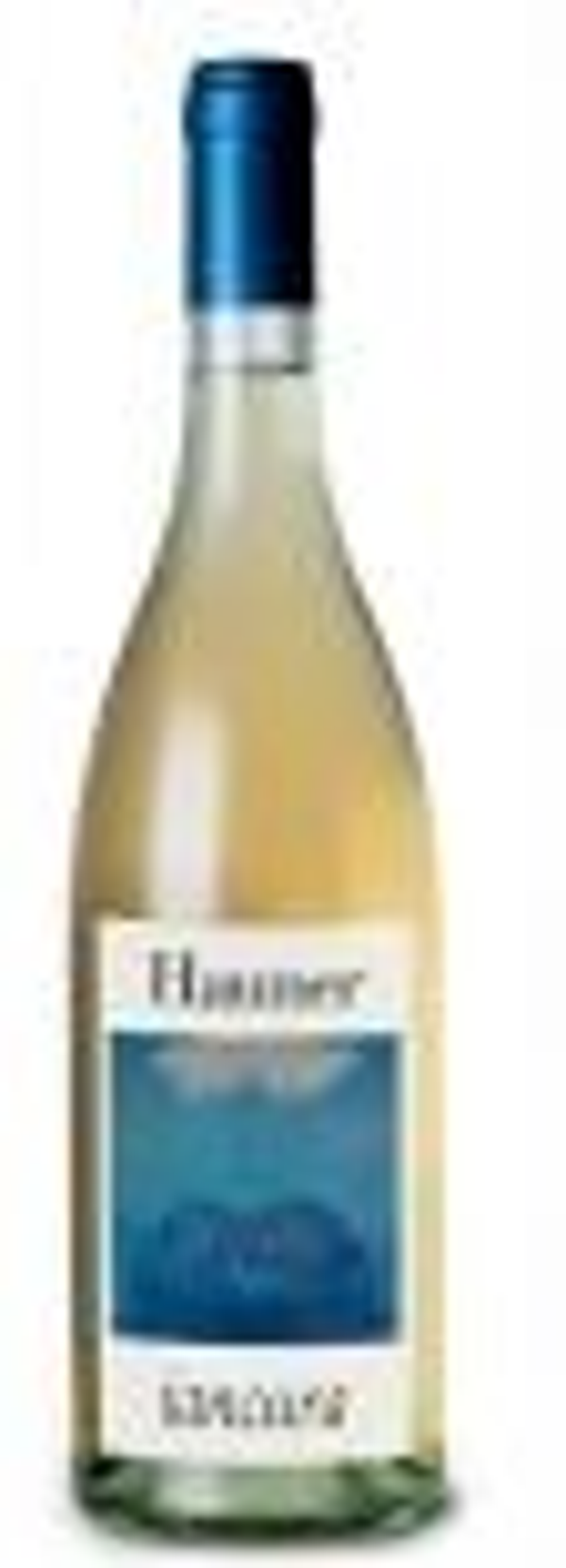 CARLO HAUNER IANCURA