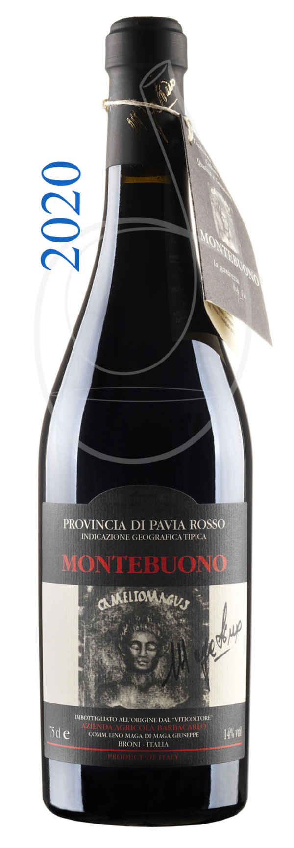 LINO MAGA MONTEBUONO 2020