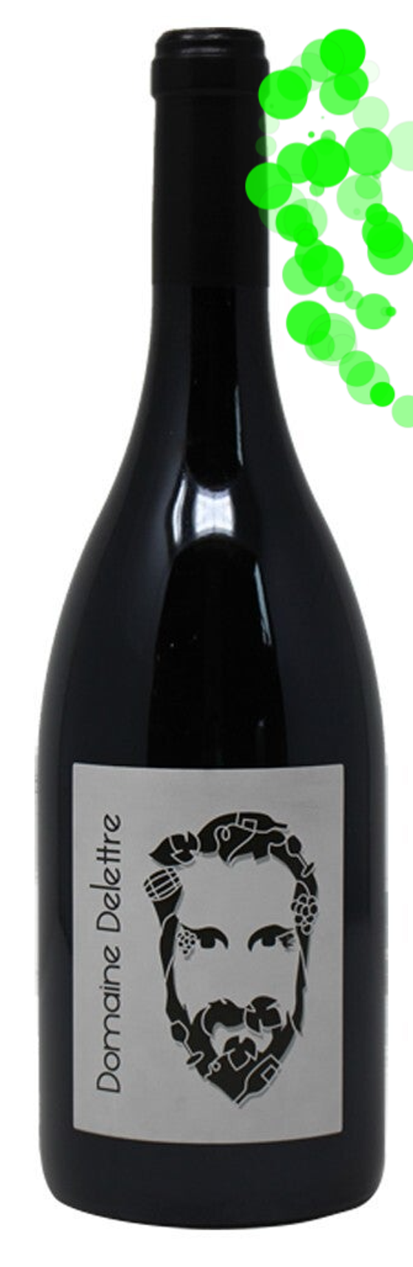 DOM. BOURGUEIL AOC DELETTRE CUVEE ROUGE