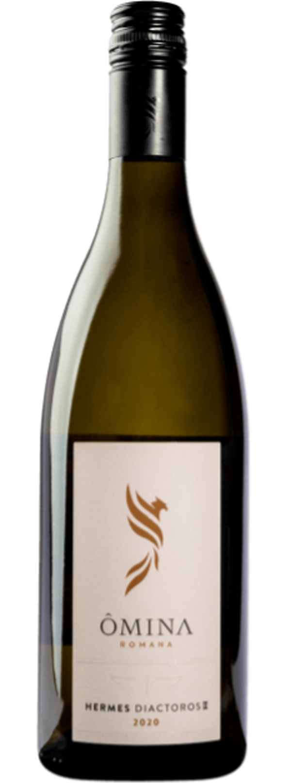 OMINA ROMANA HERMES DIACTOROS II