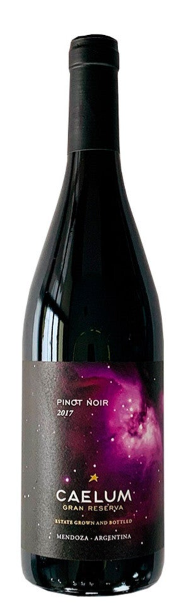 CAELUM RESERVA PINOT NOIR