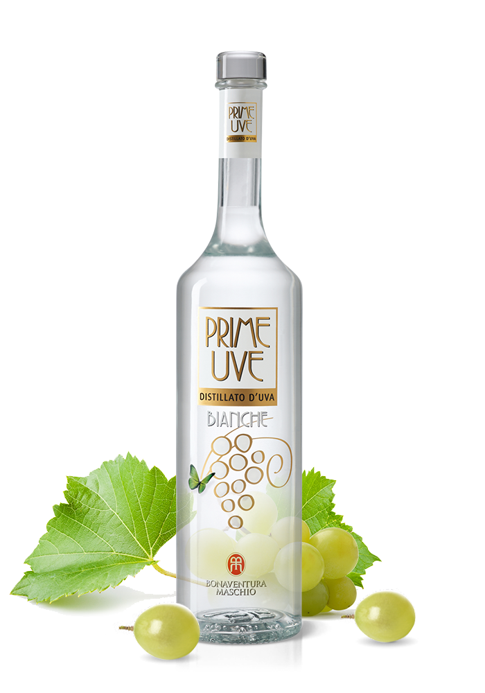 MASCHIO GRAPPA BIANCA PRIME UVE