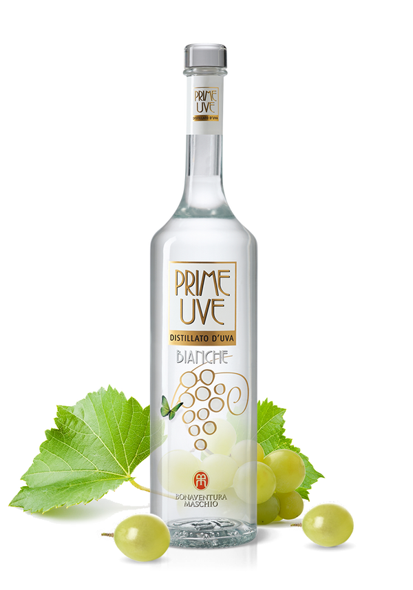 MASCHIO GRAPPA BIANCA PRIME UVE