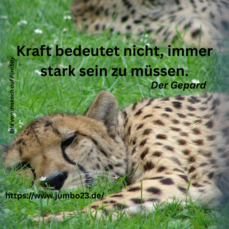 Kraft bedeutet nicht, immer stark sein zu müssen. Der Gepard