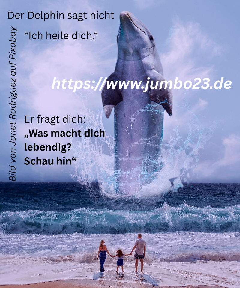 Der Delphin sagt nicht „Ich heile dich.“ Er fragt dich: „Was macht dich lebendig? Schau hin“