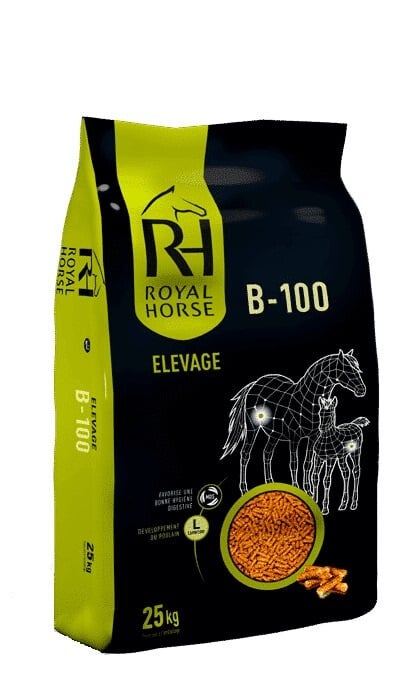 Royal Horse B-100