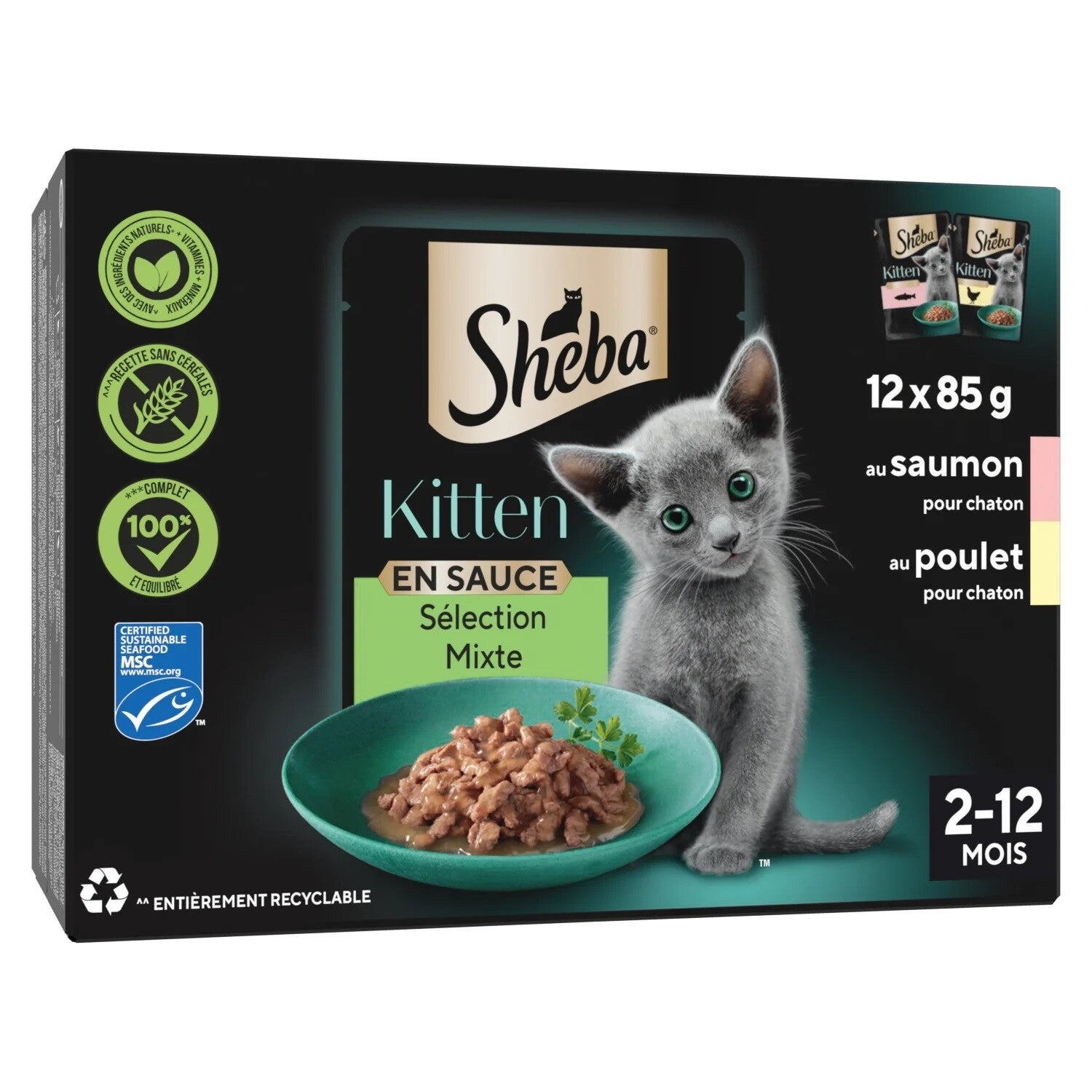 Sheba Chaton en Sauce