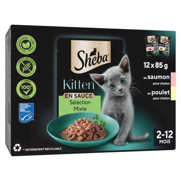 Sheba Chaton en Sauce