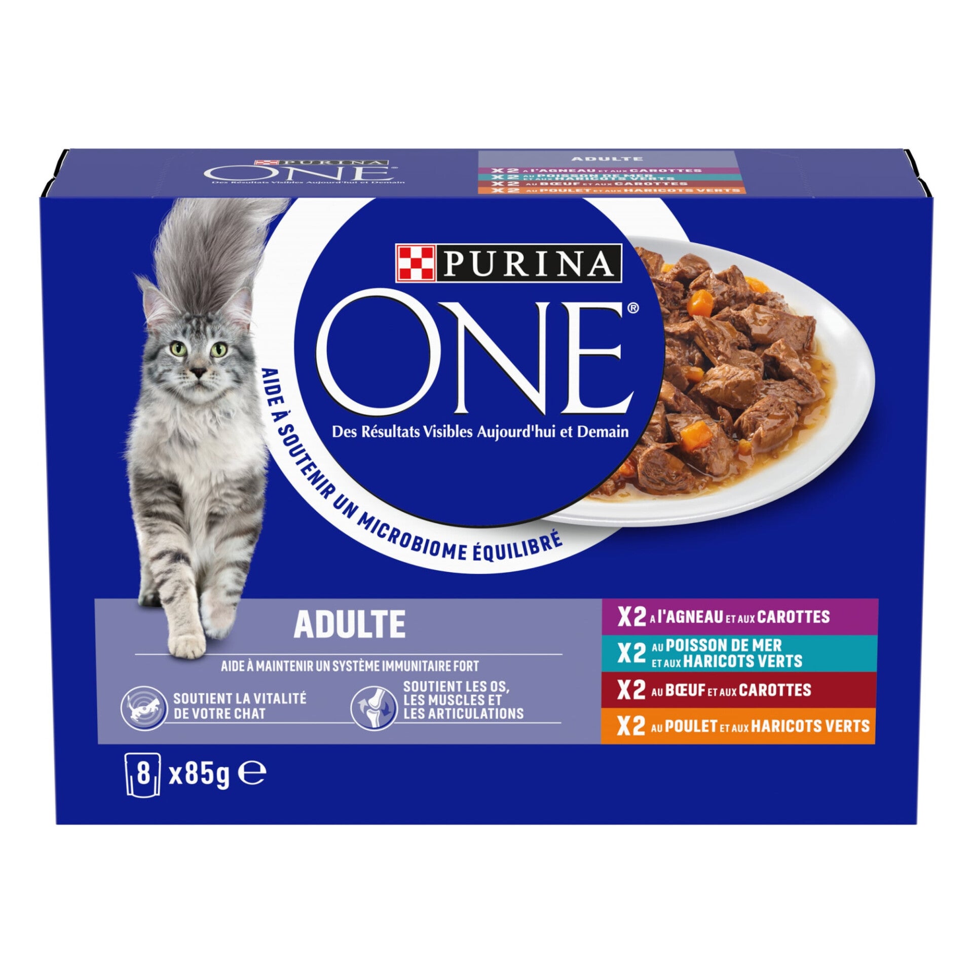Purina One Chat en Sauce