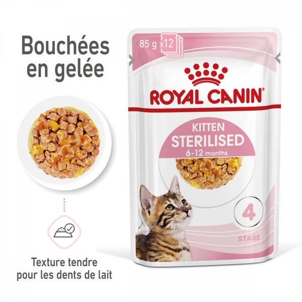 Royal Canin Chaton Stérilisé en Gelée