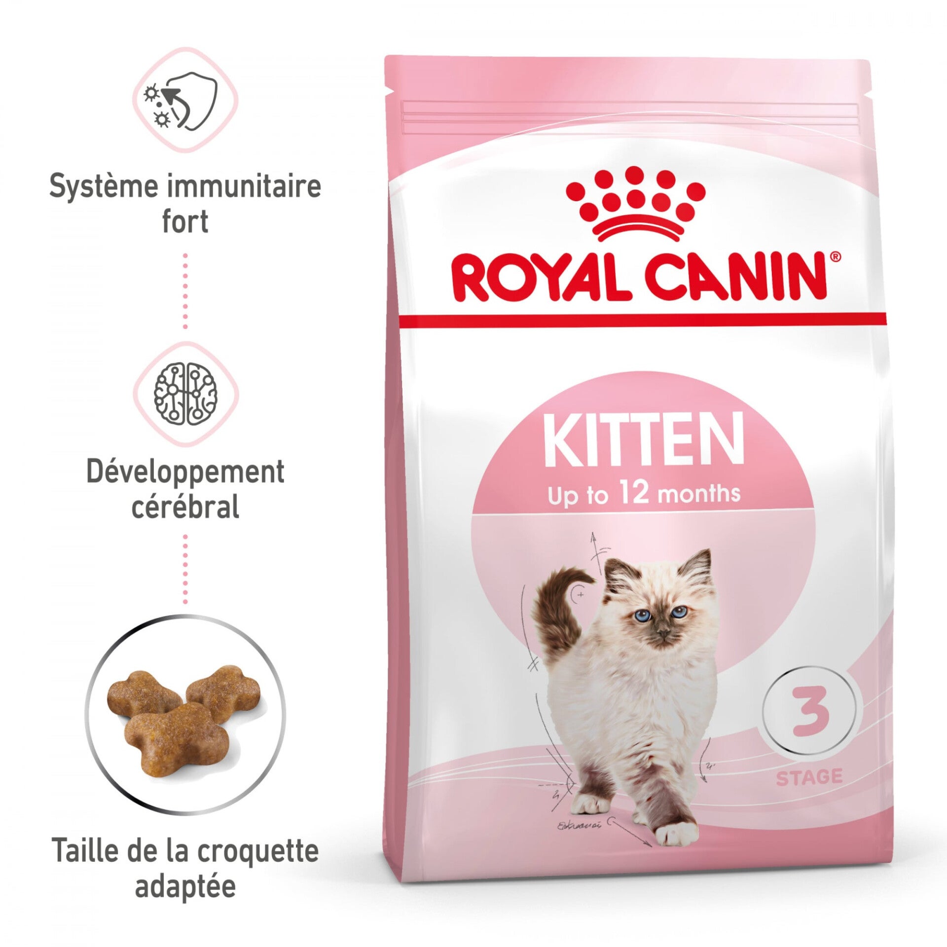 Royal Canin Chaton