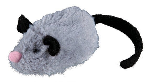 Souris Active