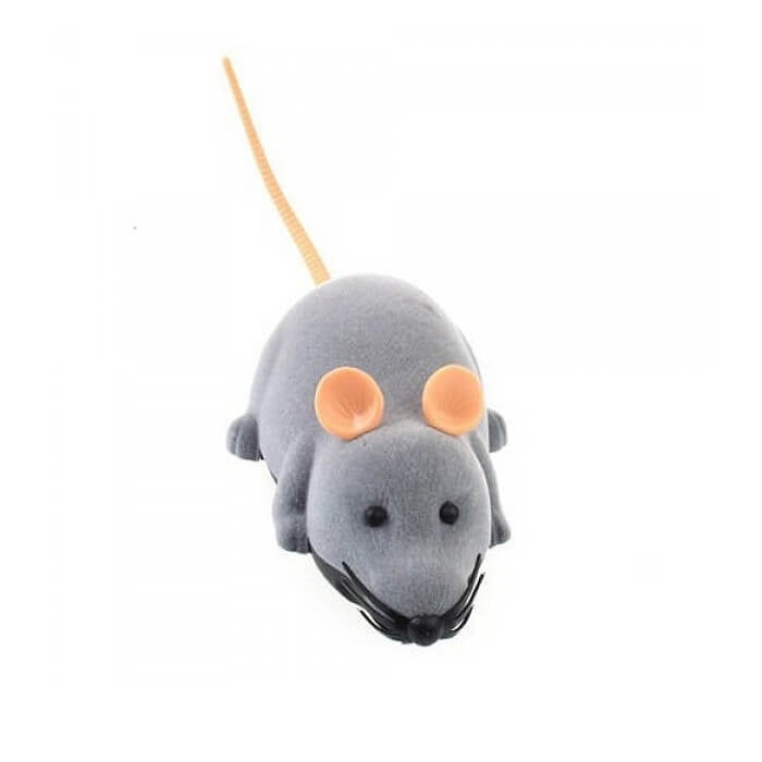 Souris Télécommandée