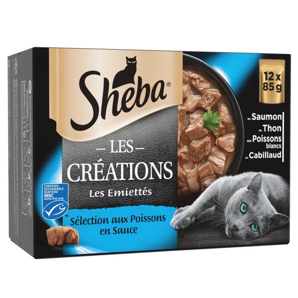 Shabe Chat en Sauce Poisson