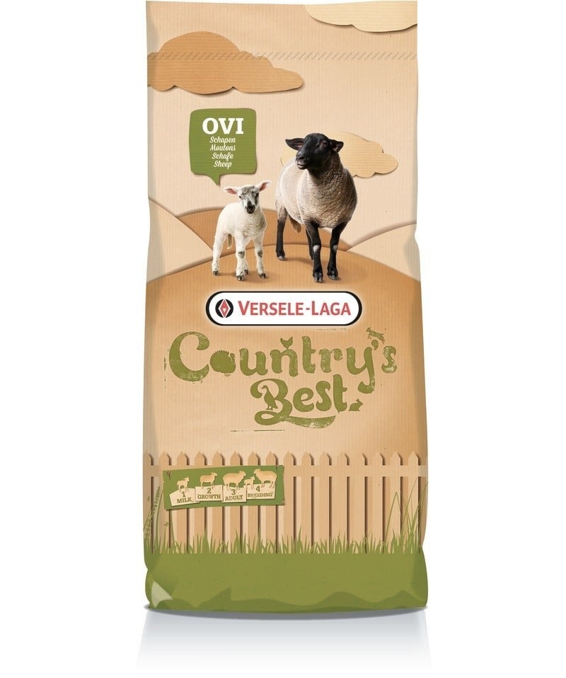 Country's Best Brebis Allaitantes