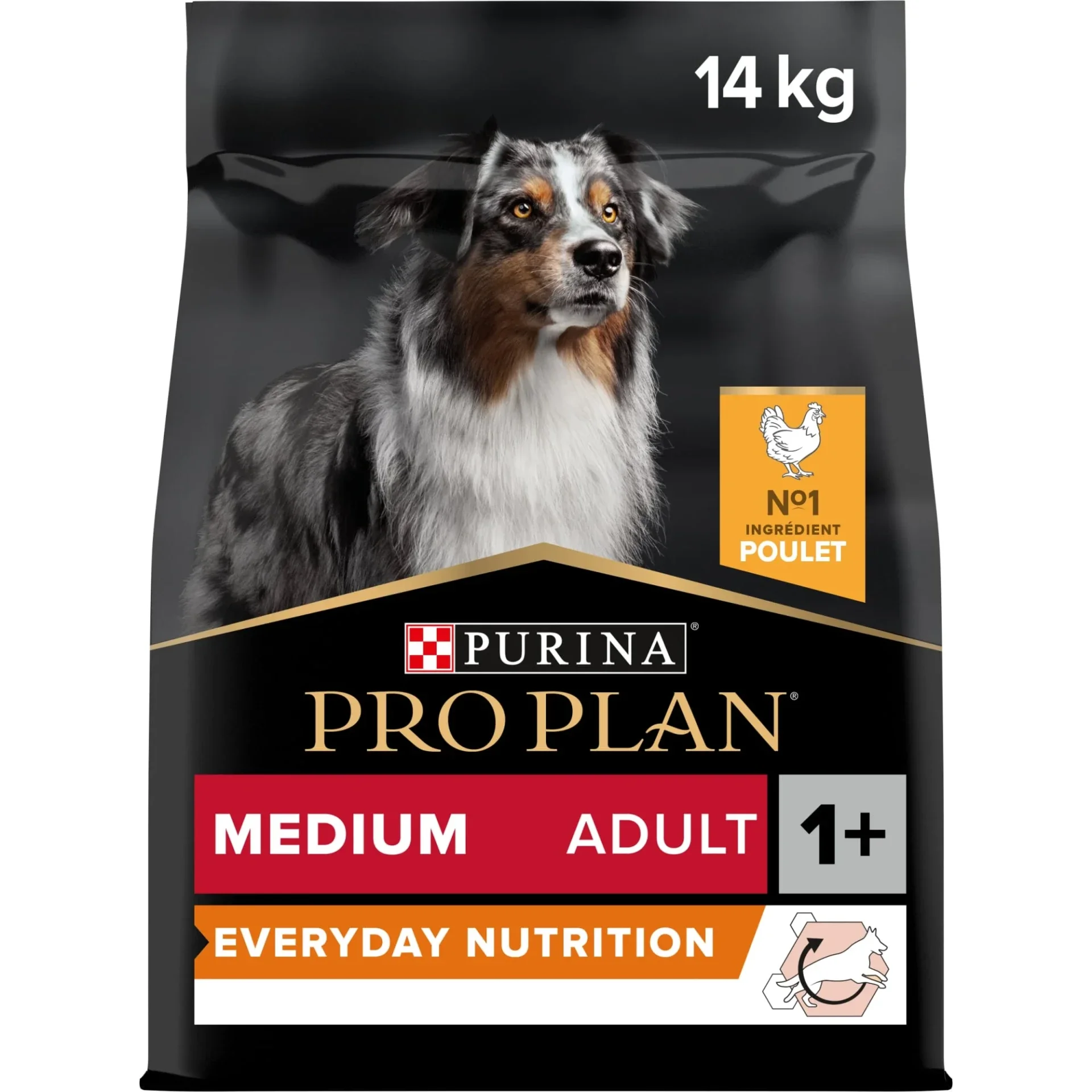 Pro Plan Adult Medium Everyday