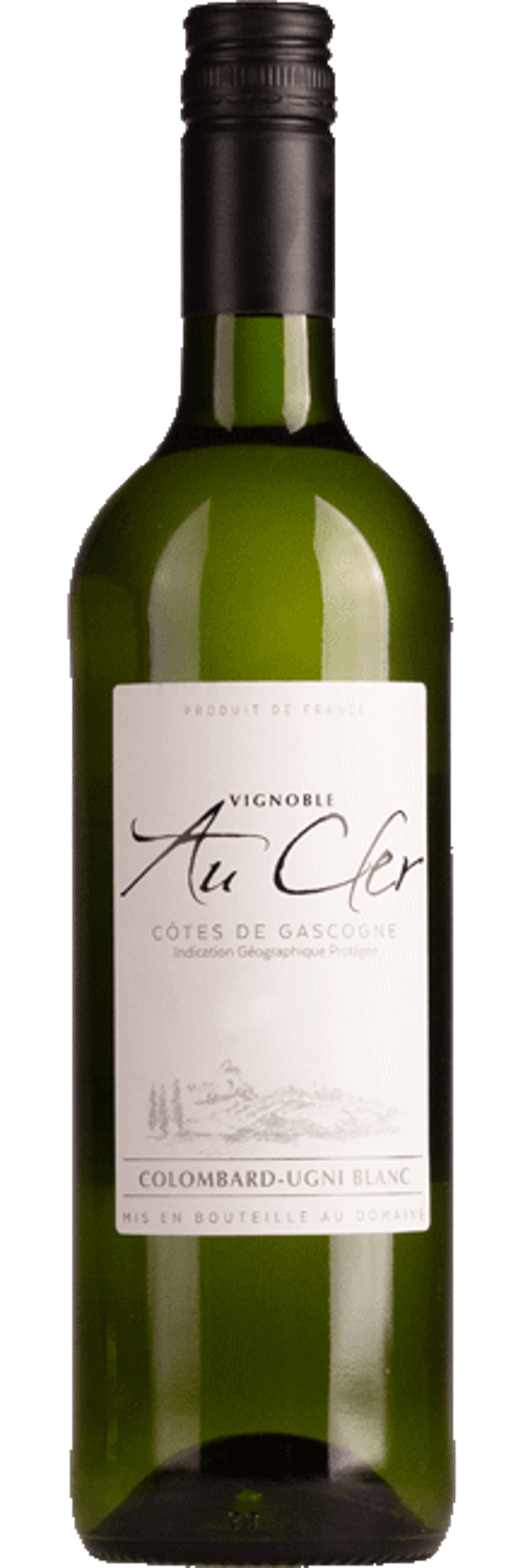 Gascogne Vignes au Cler
