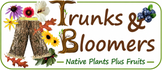 Trunksandbloomers.com