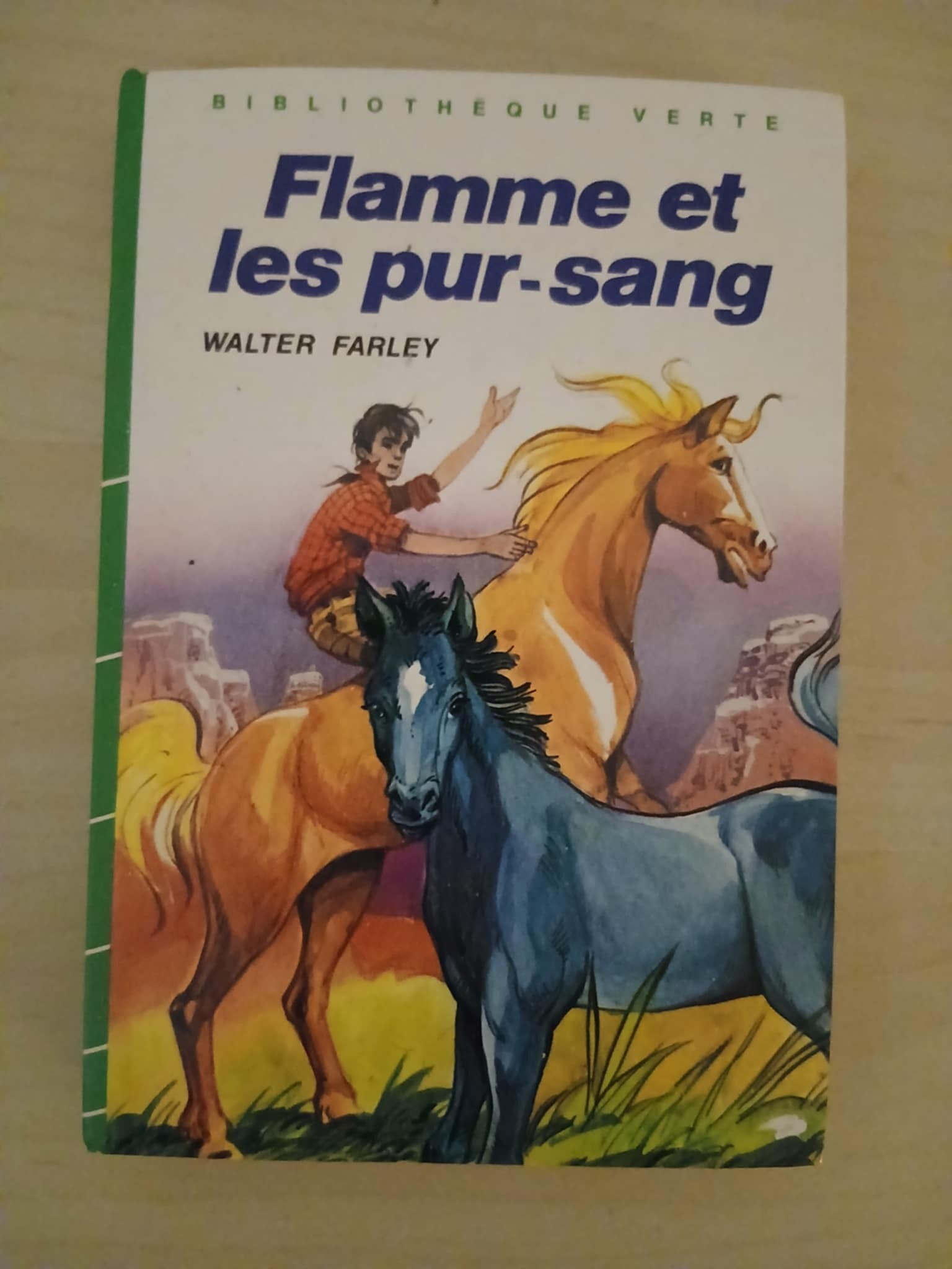 Livre Enfants - Flamme et les pur-sang