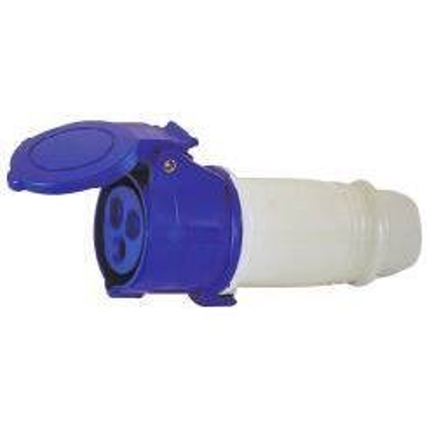 Prises femelle 220 V